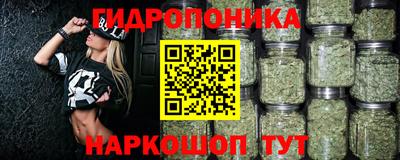 крисы Канаш